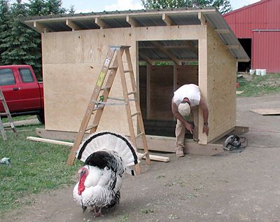 DIY Movable Shed