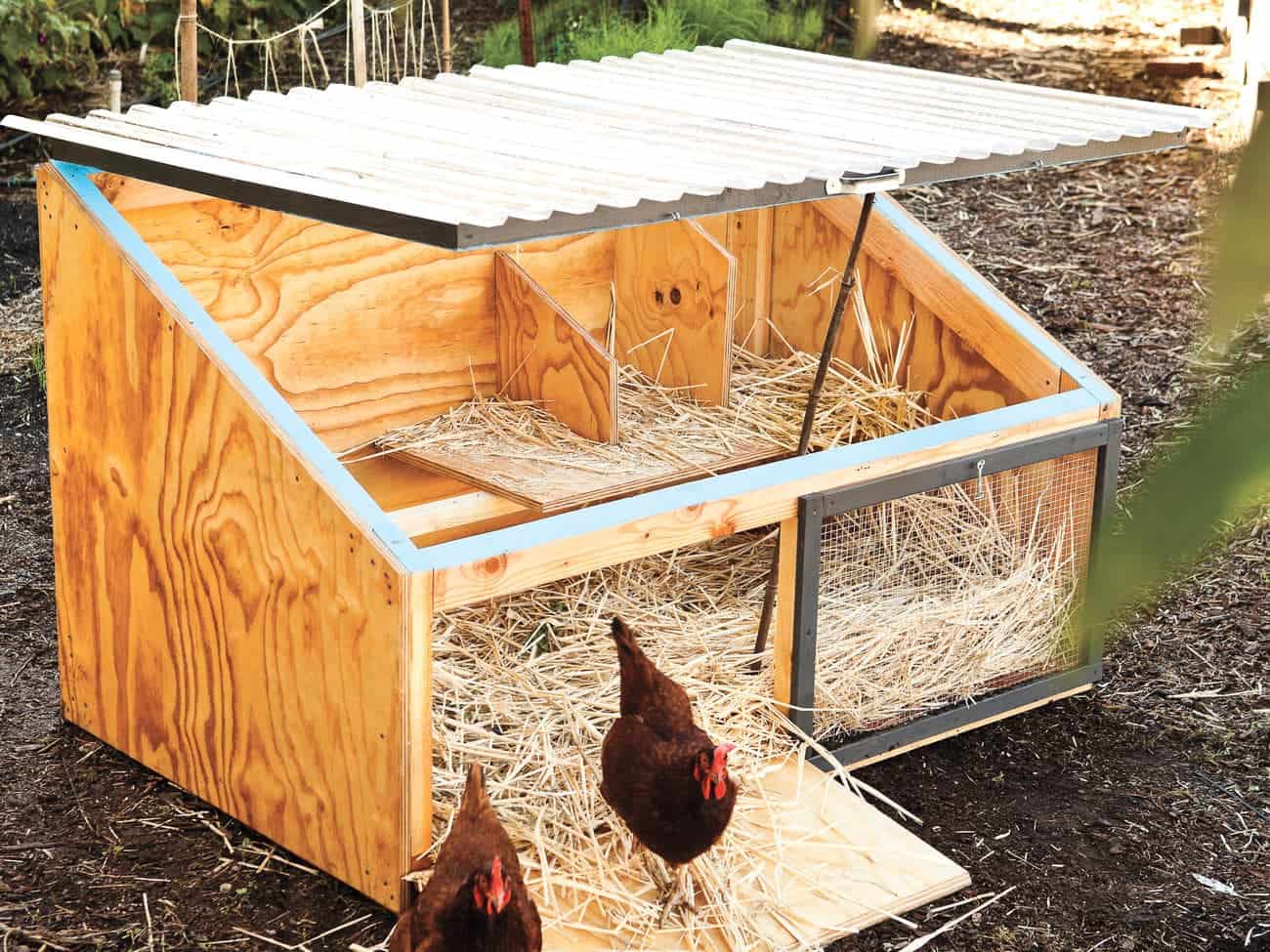 DIY Small and simple chicken coop