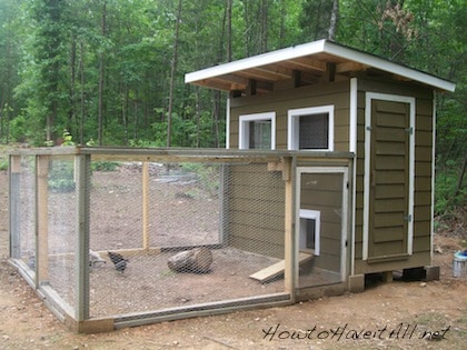 DIY Small chicken coop and run