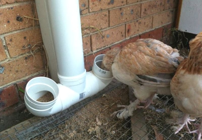 DIY Waste Free Chicken Feeder and Waterer