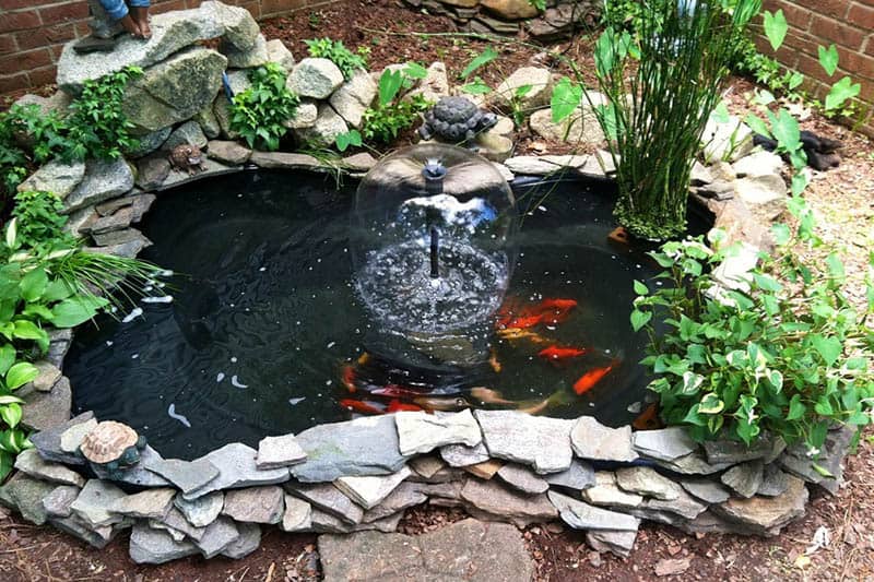 DIY_Koi_Fish_Pond-What_Do_I_Need_To_Build_a_Backyard_Pond