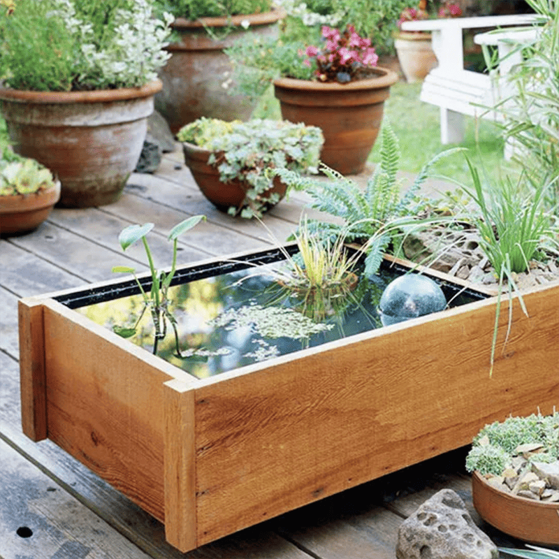 DIY_Pond_Box_How_to_Create_a_Mini_Water_Garden_for_Your_Home
