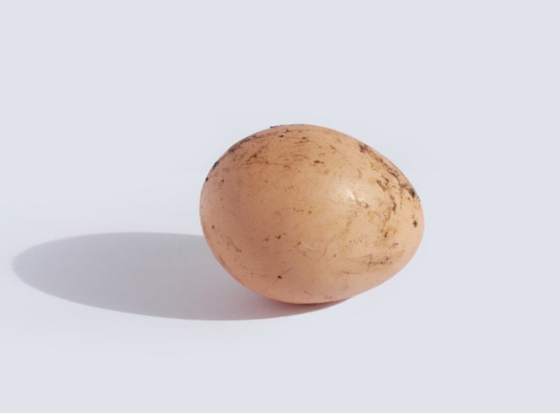 Dirty egg on white background