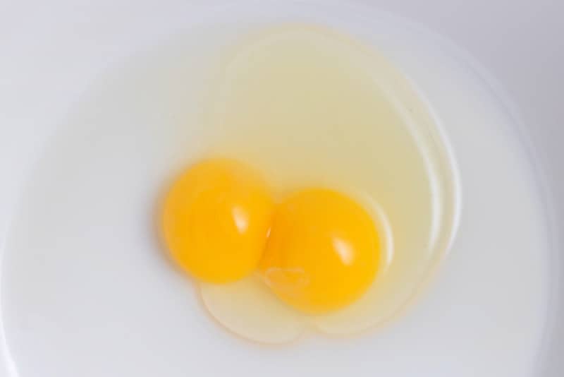Egg with two yolks