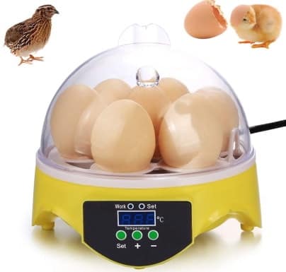 Eggs Incubator for Hatching 7 Eggs_Amazon