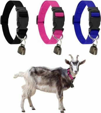 GINDOOR Goat Collars with Bell
