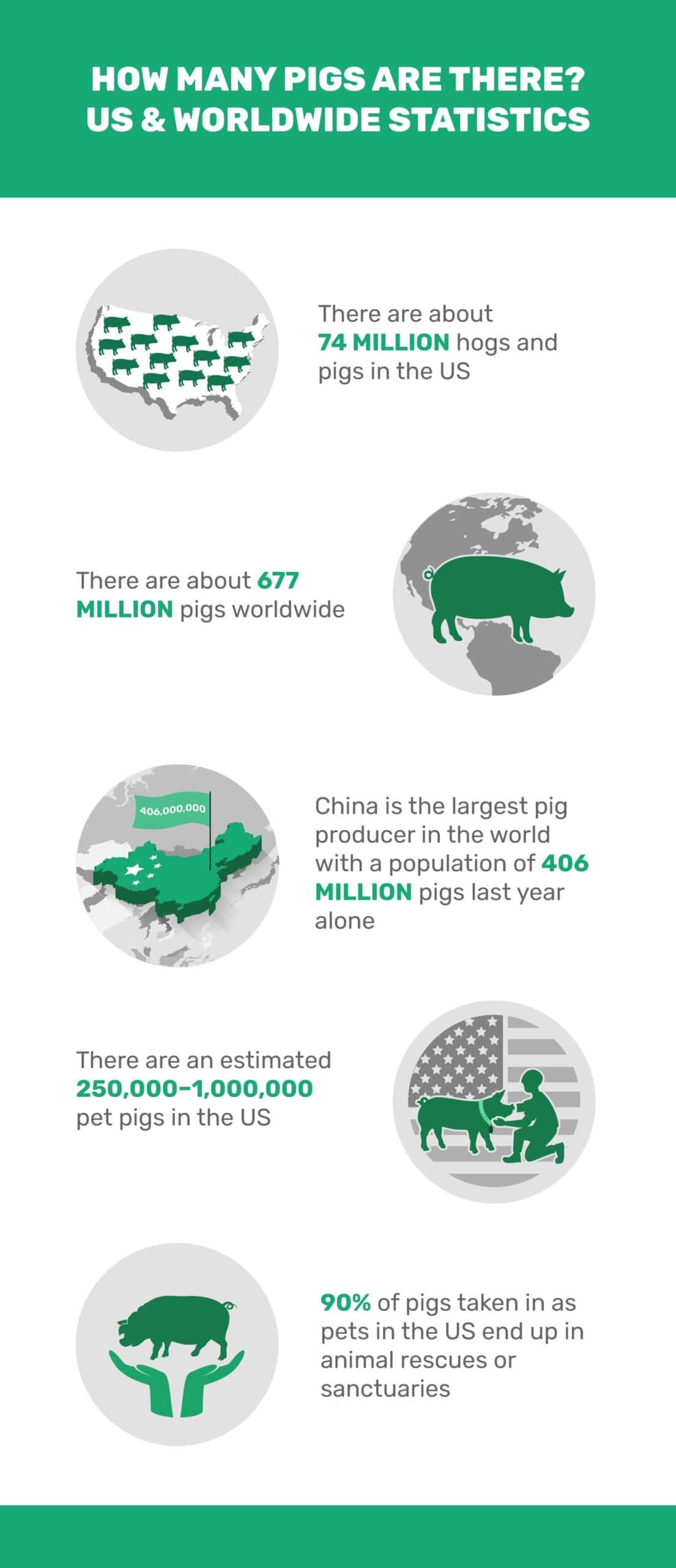 HOW-MANY-PIGS-ARE-THERE-US-&-WORLDWIDE-STATISTICS