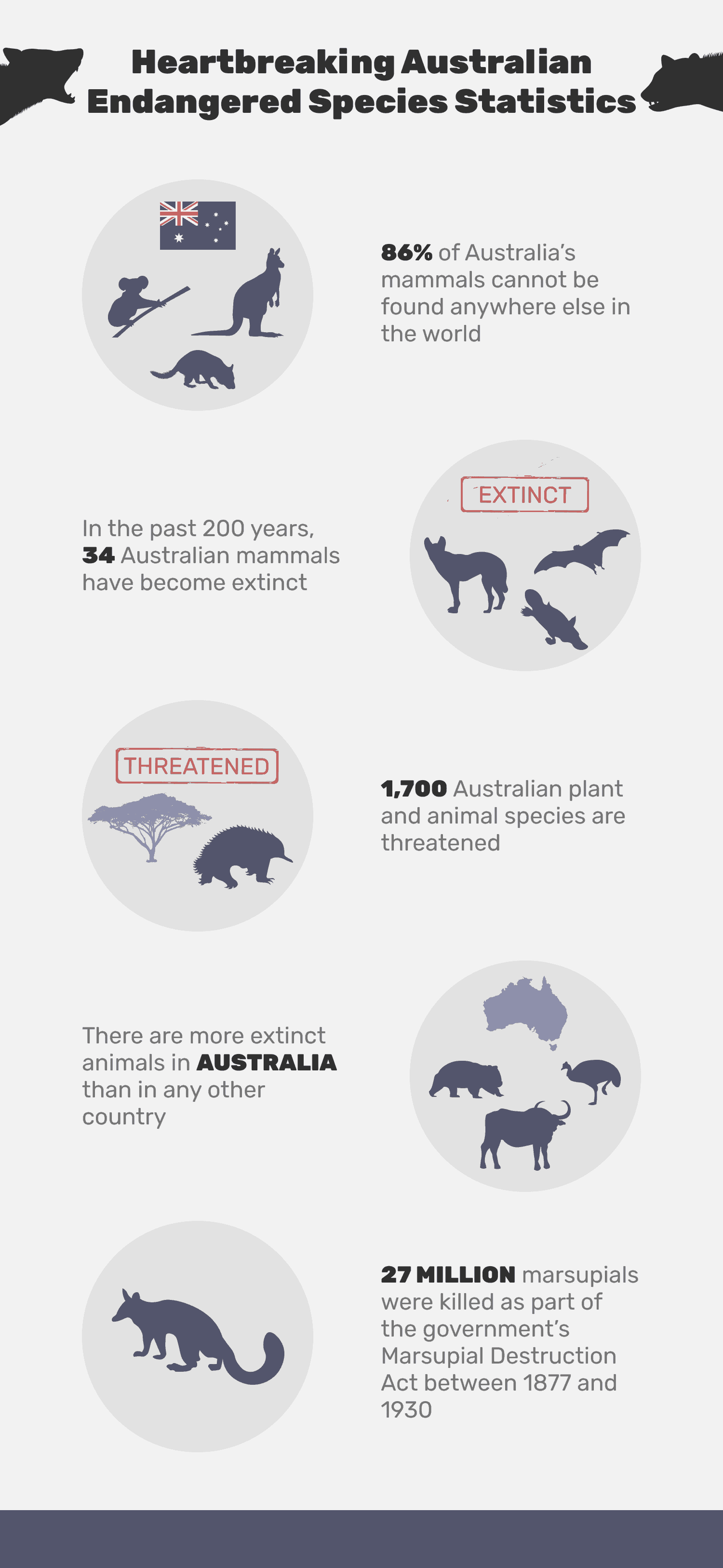 Heartbreaking_Australian_Endangered_Species_Statistics