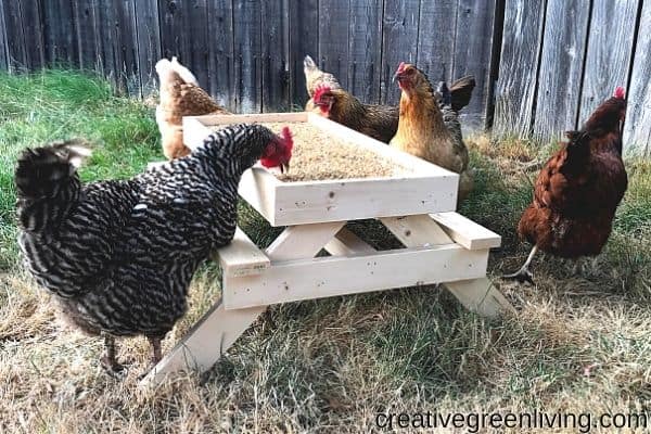 How to make a DIY Chicknic Table1