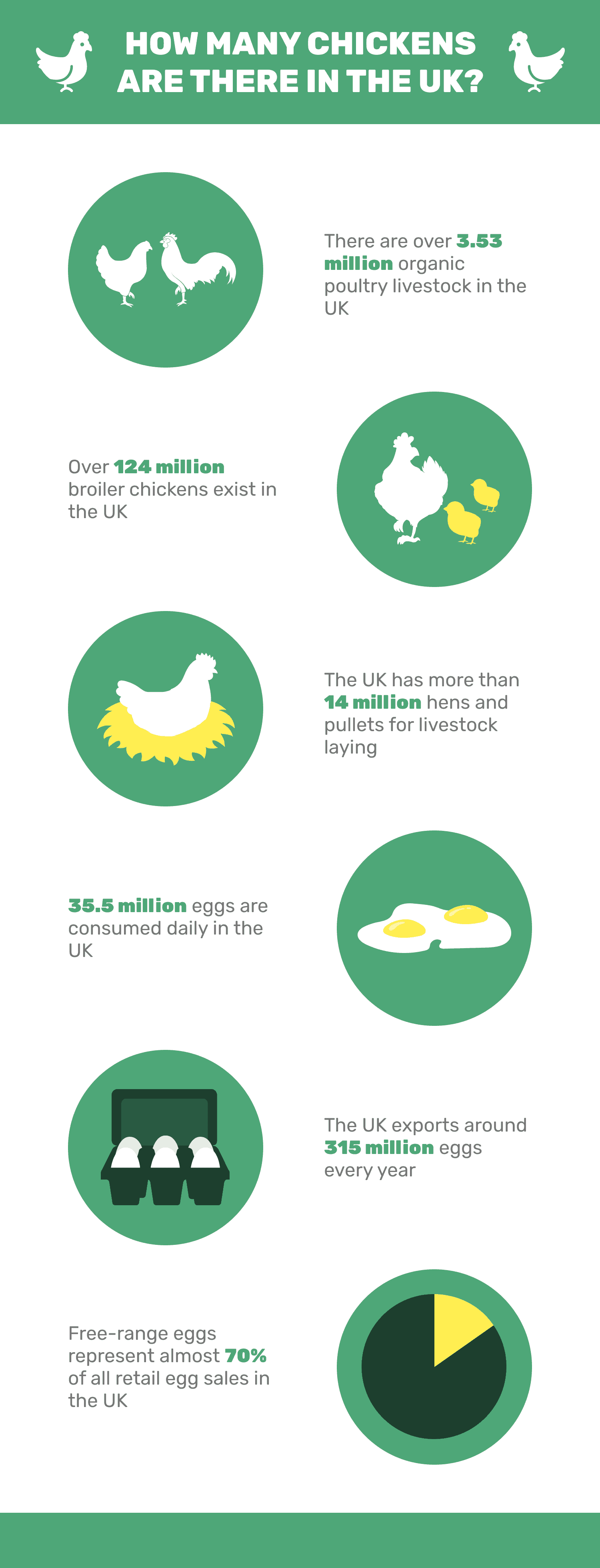Chickens in the UK