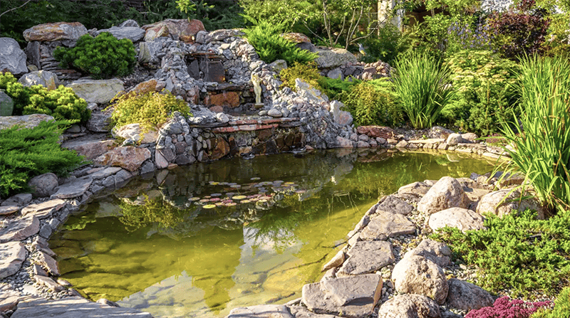 How_to_Build_a_Pond_in_Your_Backyard