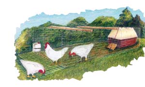 Inexpensive DIY Moveable Chicken Coop