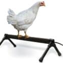K&H PET PRODUCTS Thermo-Chicken Perch