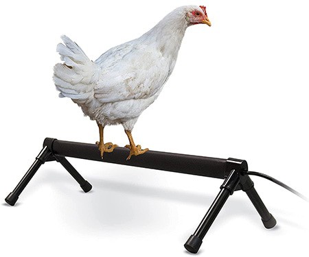 K&H PET PRODUCTS Thermo-Chicken Perch