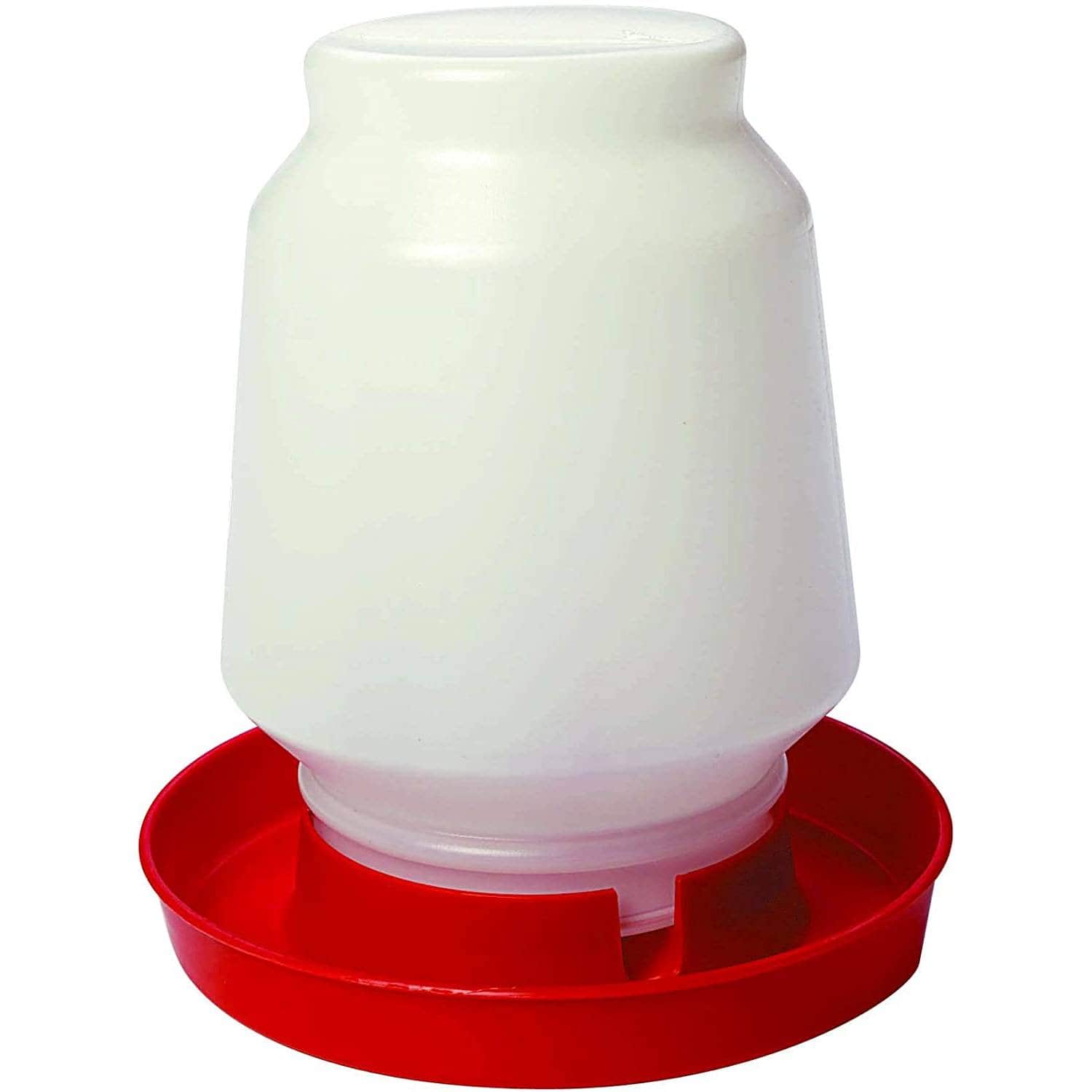 Little Giant Poultry Water Container