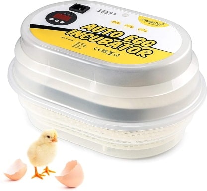 Magicfly Digital Mini Fully Automatic Egg Incubator_Amazon