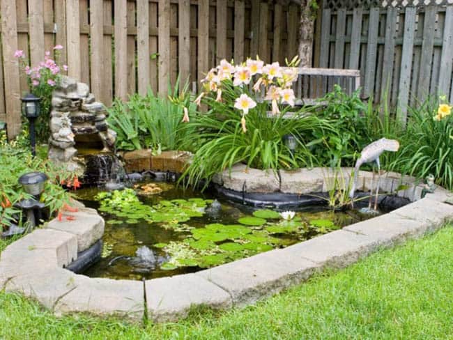Miniature_Ponds-How_To_Build_A_Small_Pond_In_Your_Garden