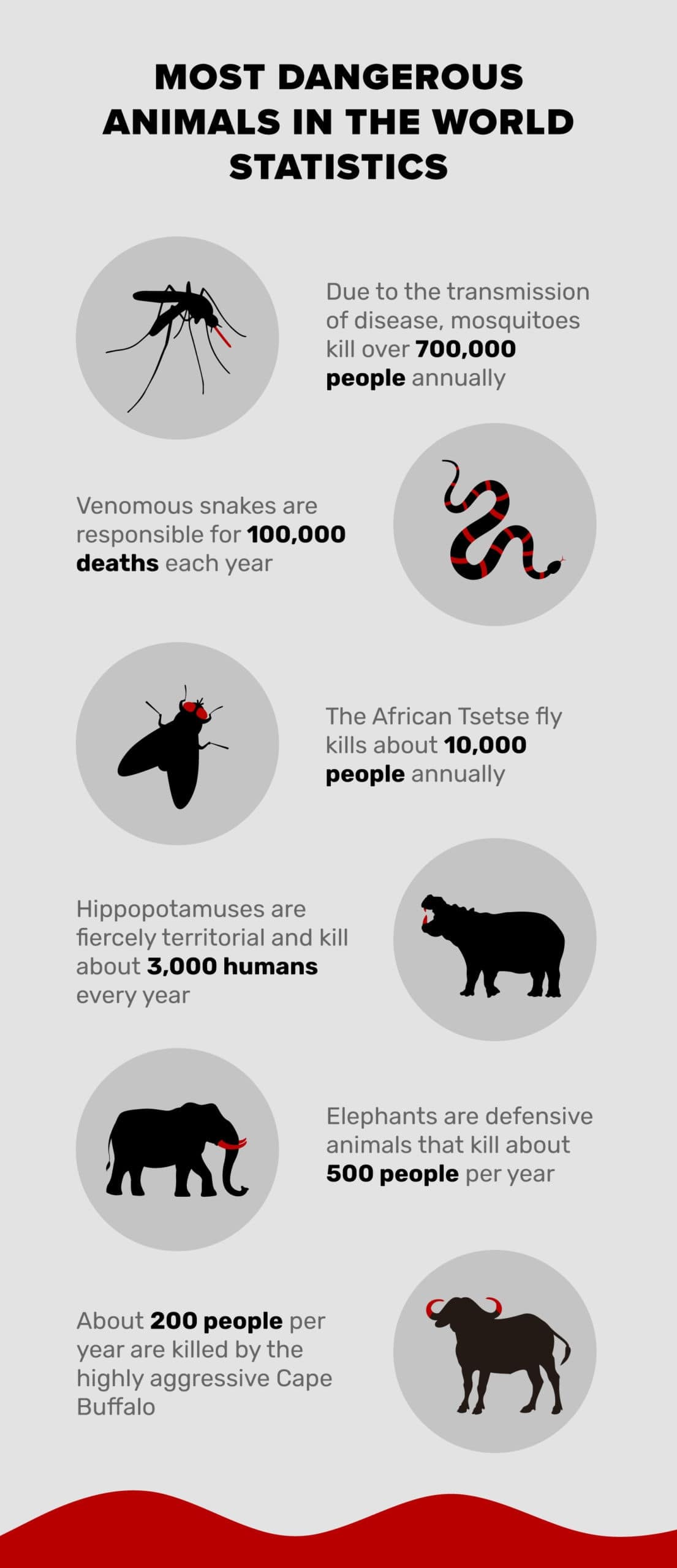 Most-Dangerous-Animals-in-the-World-Statistics