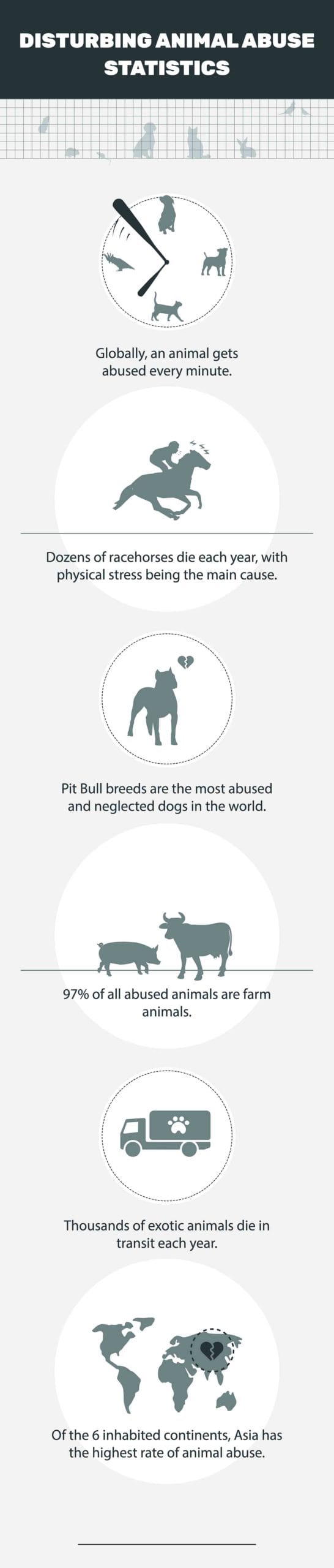 PK general animal abuse stats