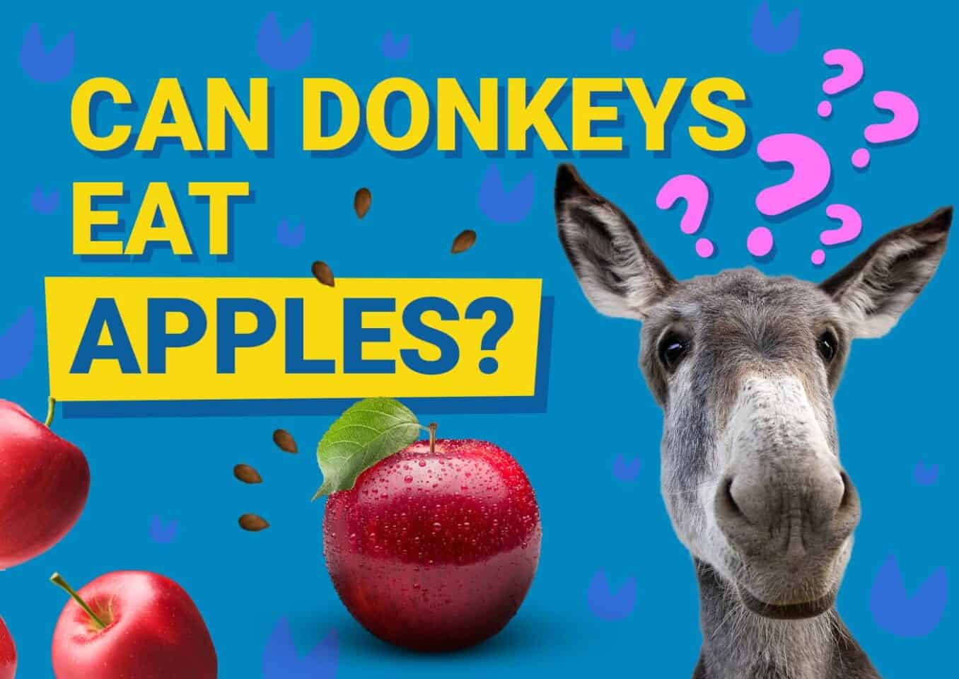 PetKeen_Can Donkeys Eat_apple