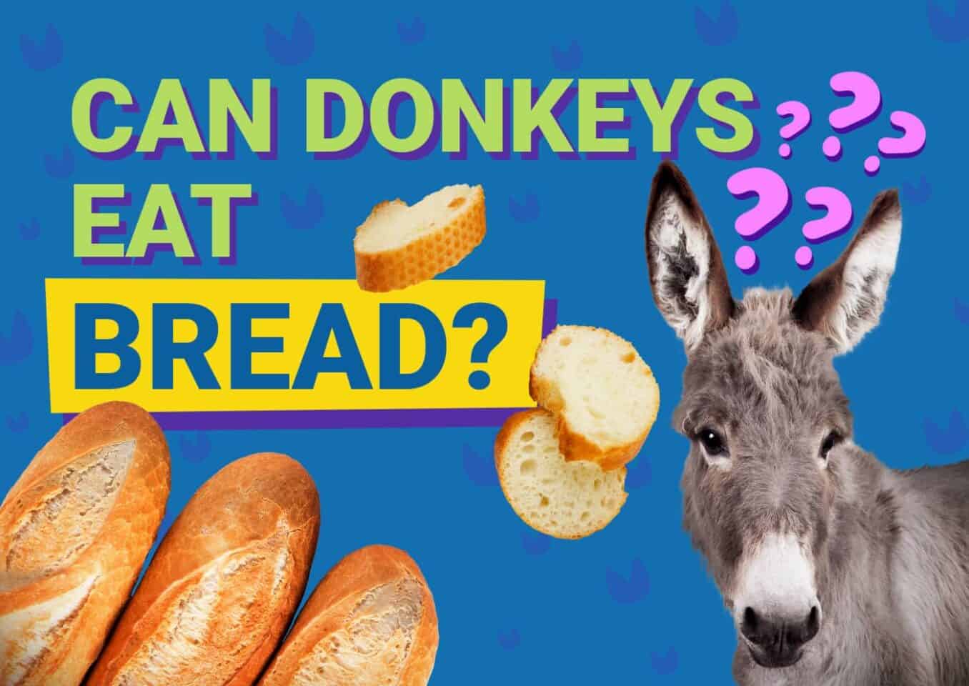 PetKeen_Can Donkeys Eat_bread