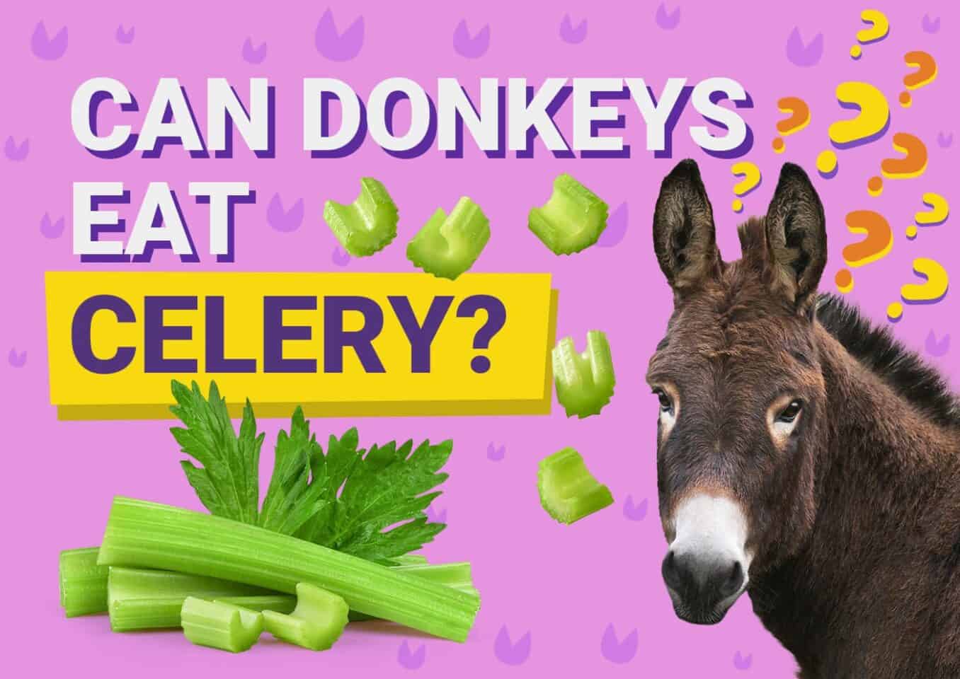 PetKeen_Can Donkeys Eat_celery