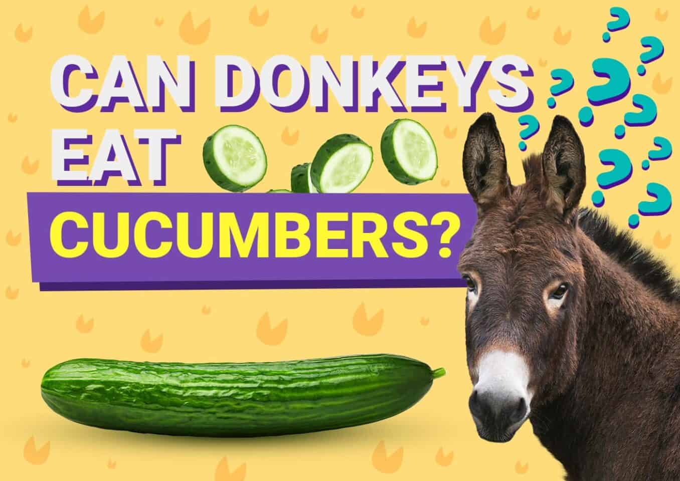 PetKeen_Can Donkeys Eat_cucumbers
