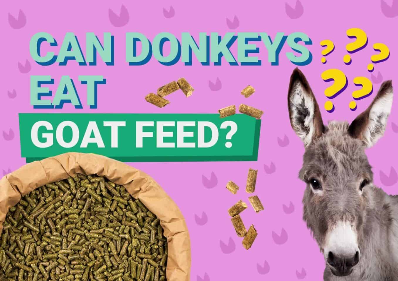 PetKeen_Can Donkeys Eat_goat feed
