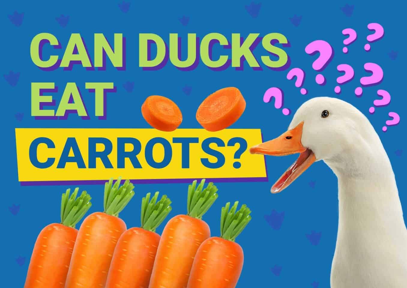 PetKeen_Can Ducks Eat_carrots
