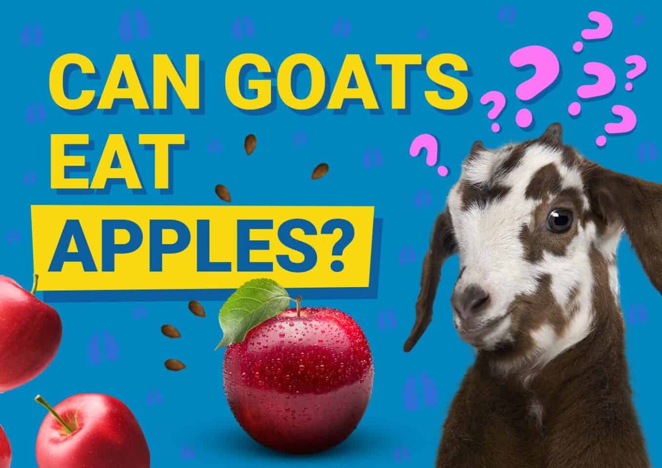 PetKeen_Can Goats Eat_apple (1)
