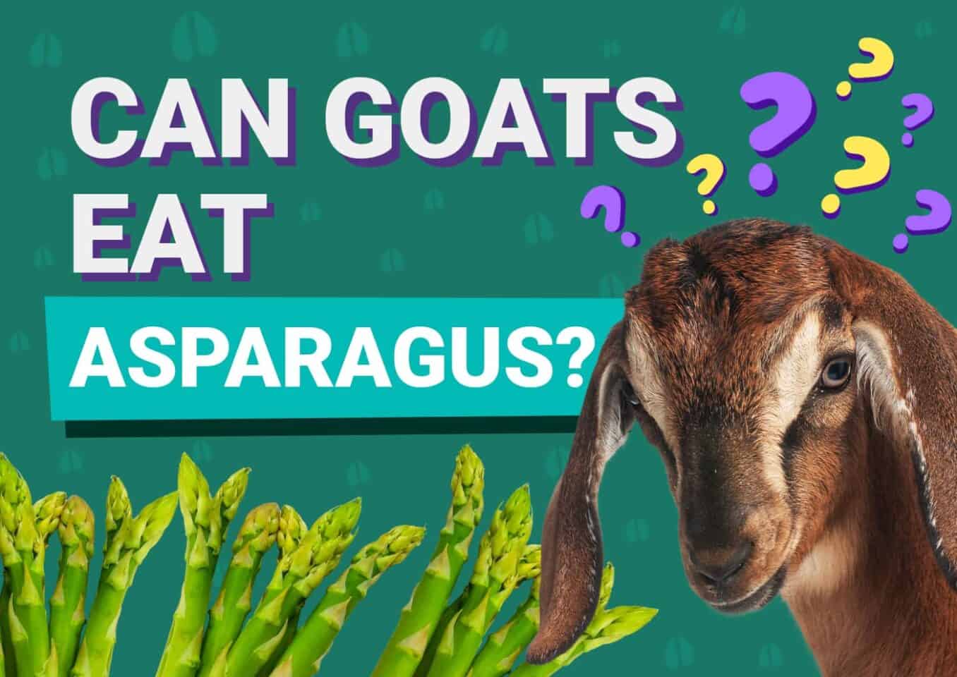 PetKeen_Can Goats Eat_asparagus