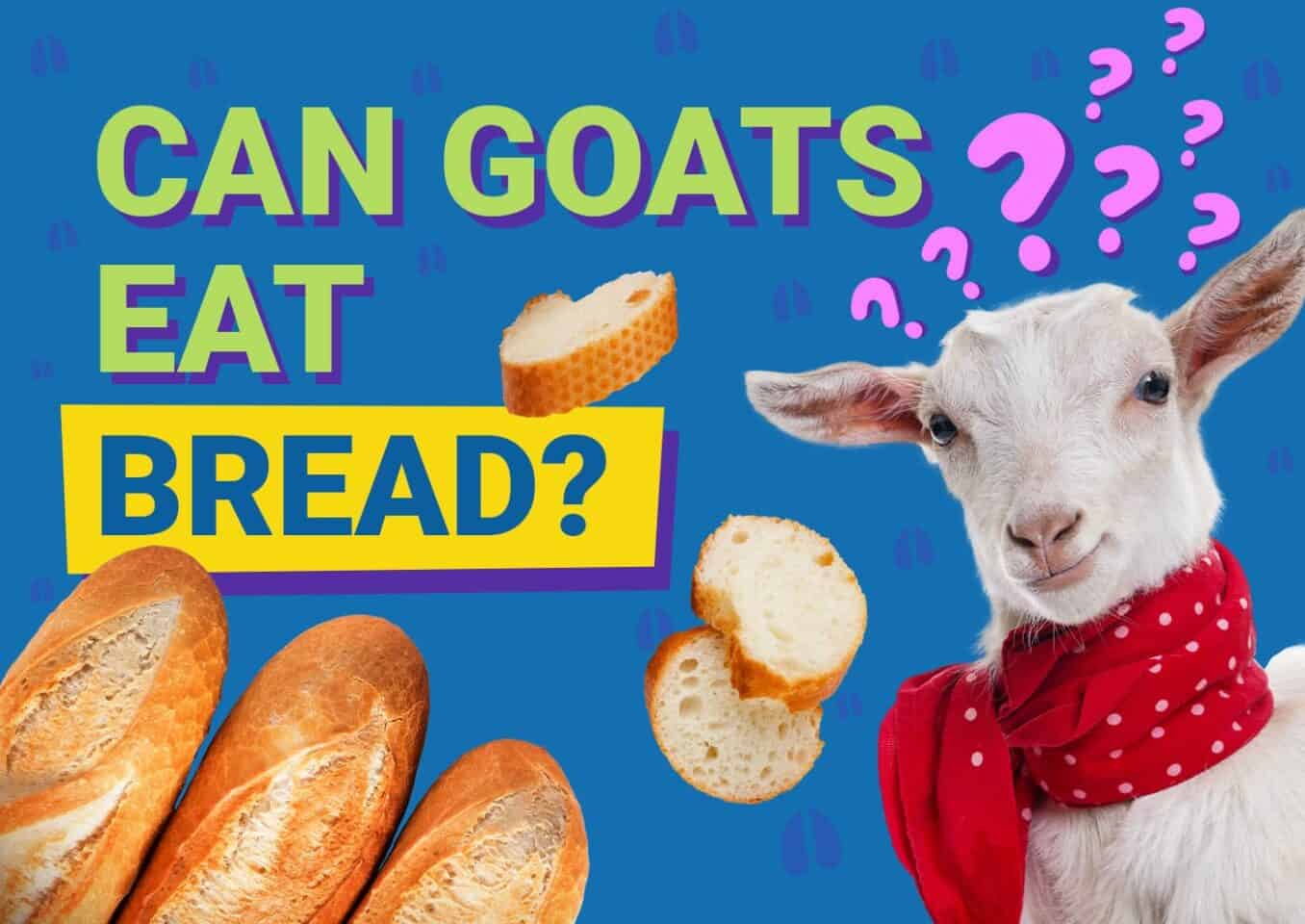 PetKeen_Can Goats Eat_bread