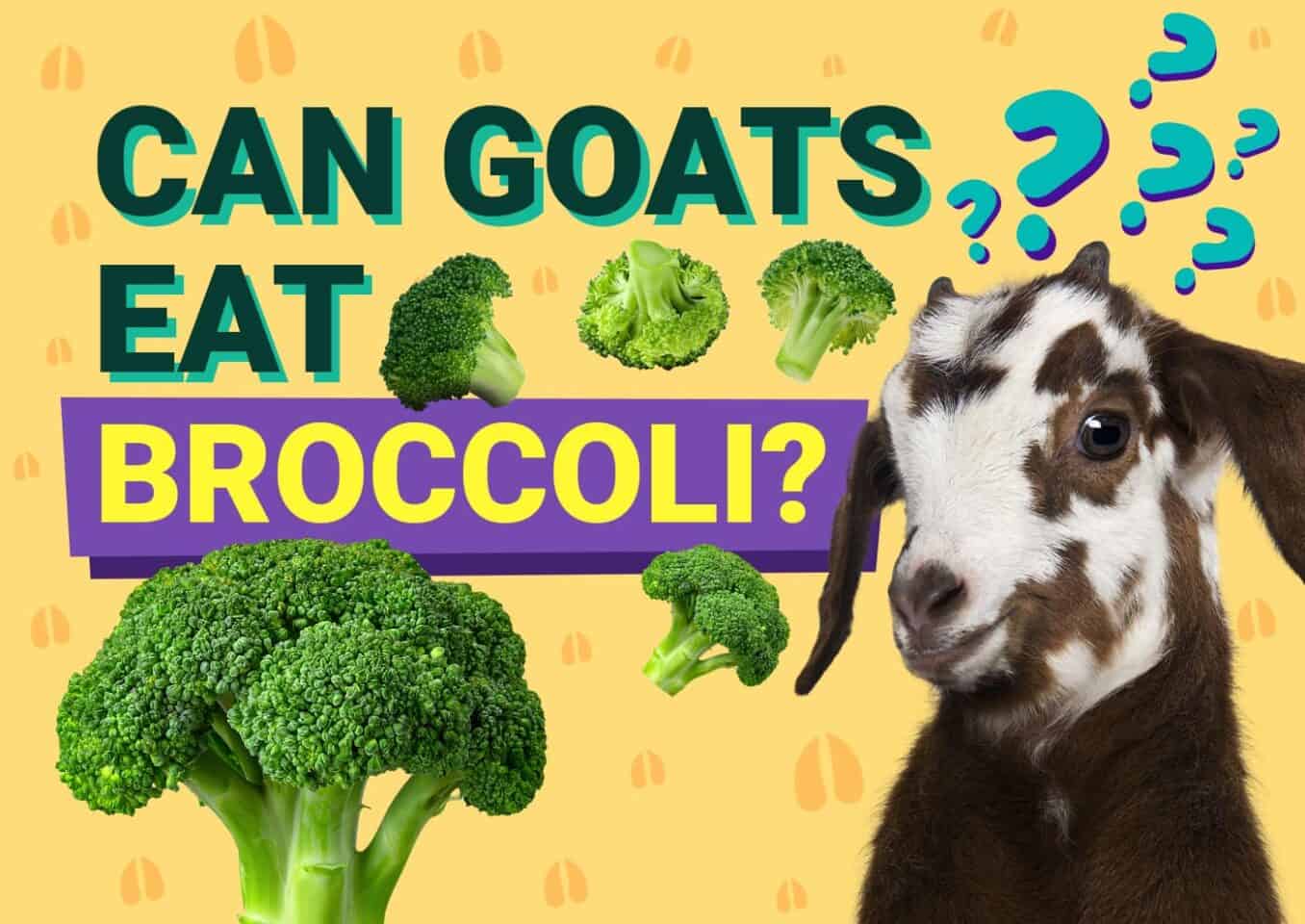 PetKeen_Can Goats Eat_broccoli