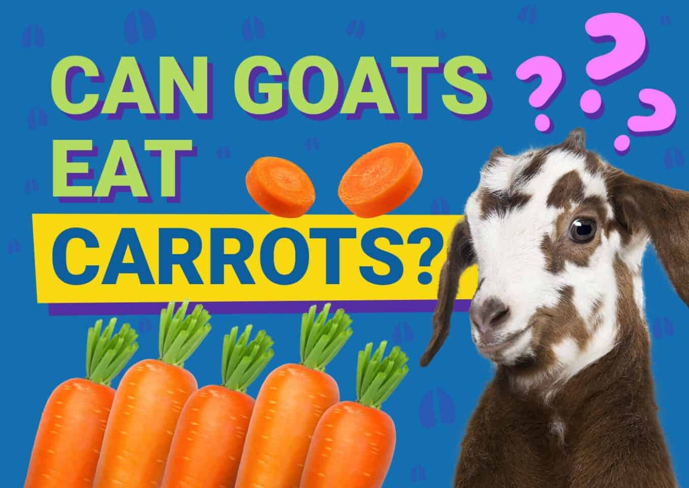 PetKeen_Can Goats Eat_carrots