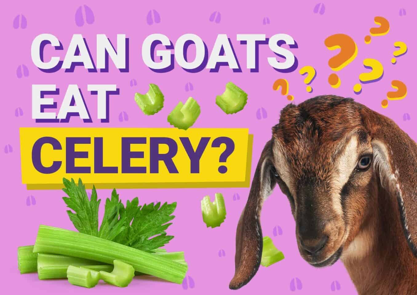 PetKeen_Can Goats Eat_celery
