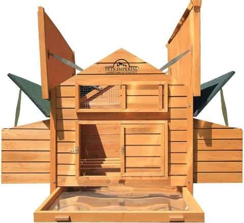 Pets imperial Double Savoy Large Chicken Coop