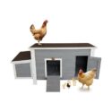 Petsfit Weatherproof Outdoor Chicken Coop