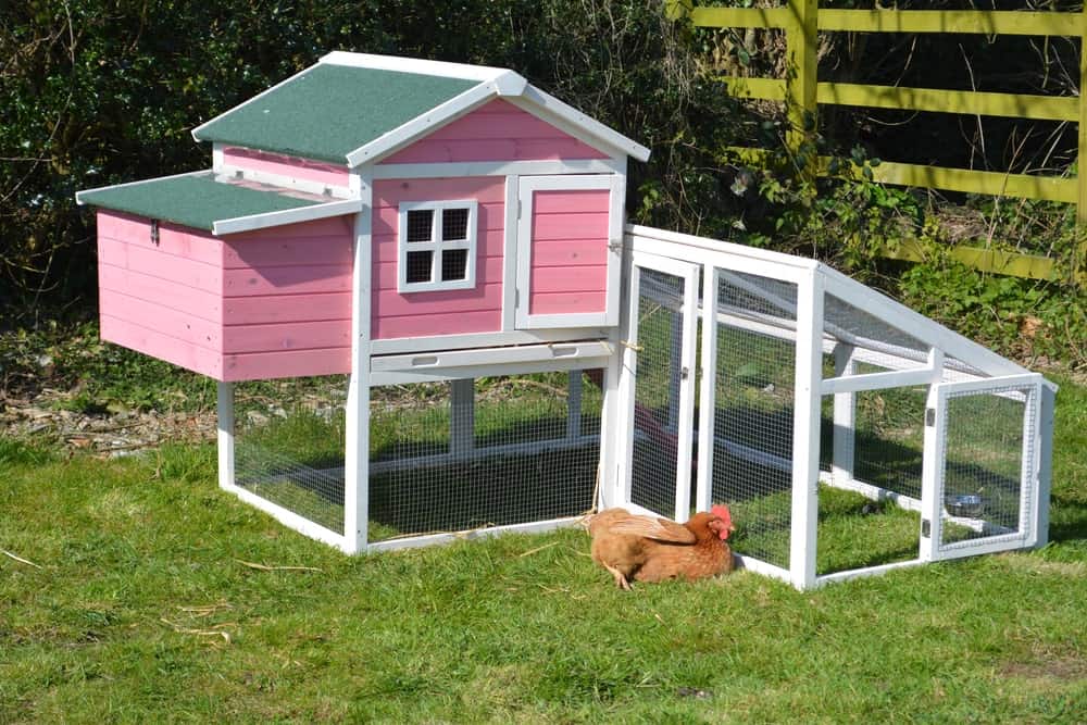 Pink and white chicken coop