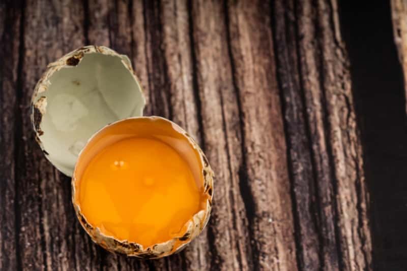 Quail egg with mottled yolk