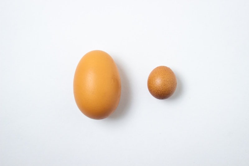 Regular egg beside small egg