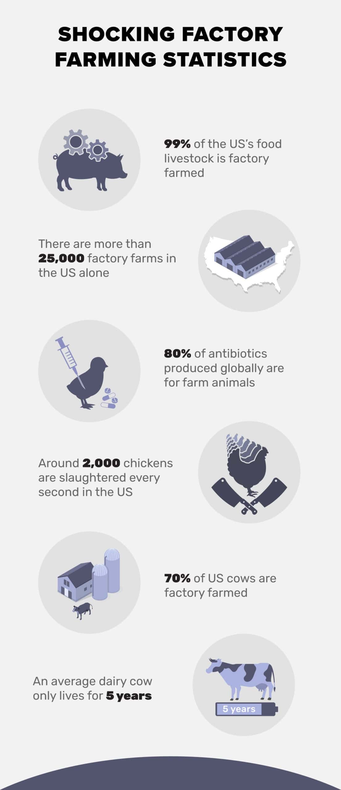 Shocking-Factory-Farming-Statistics