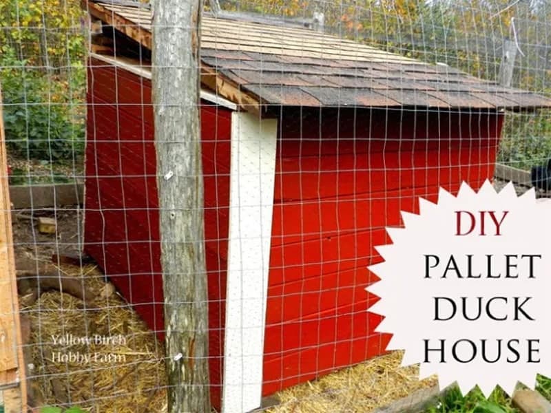 The Pallet Palace