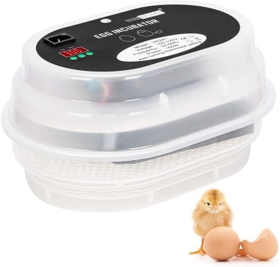 VIVOHOME Egg Incubator Mini Digital Poultry Hatcher_Amazon