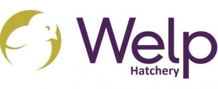 Welp Hatchery logo