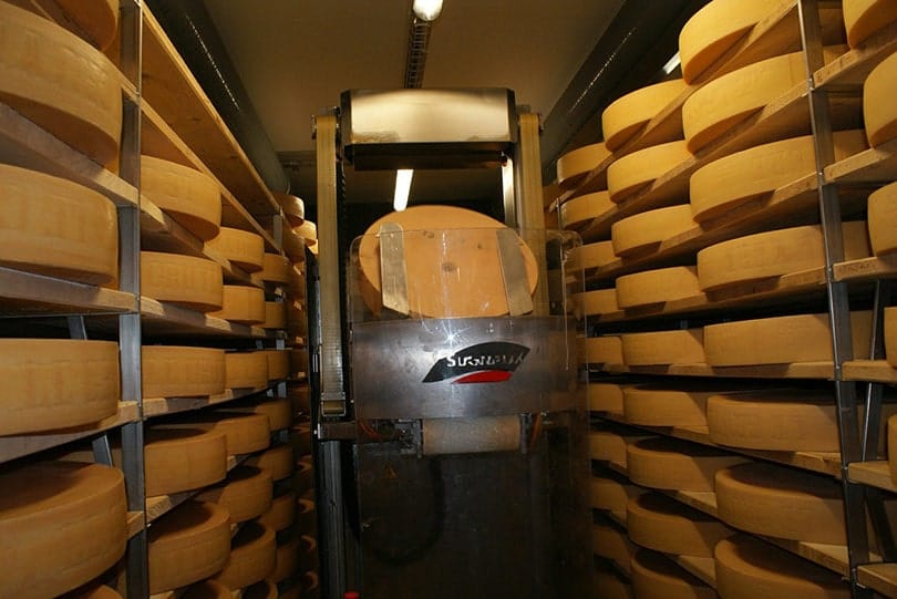 cheese storage in a factory