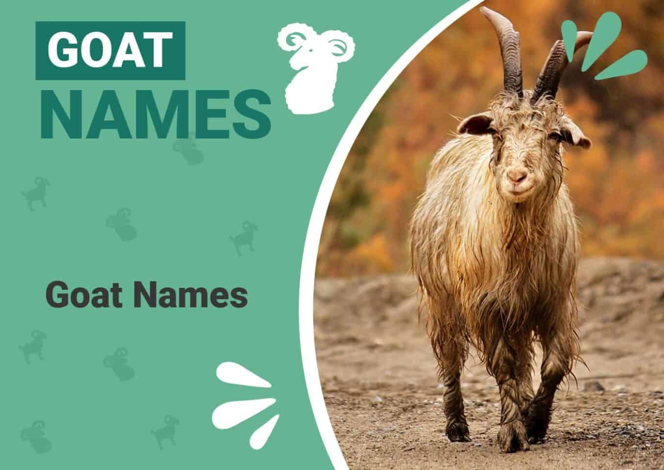 Goat Names