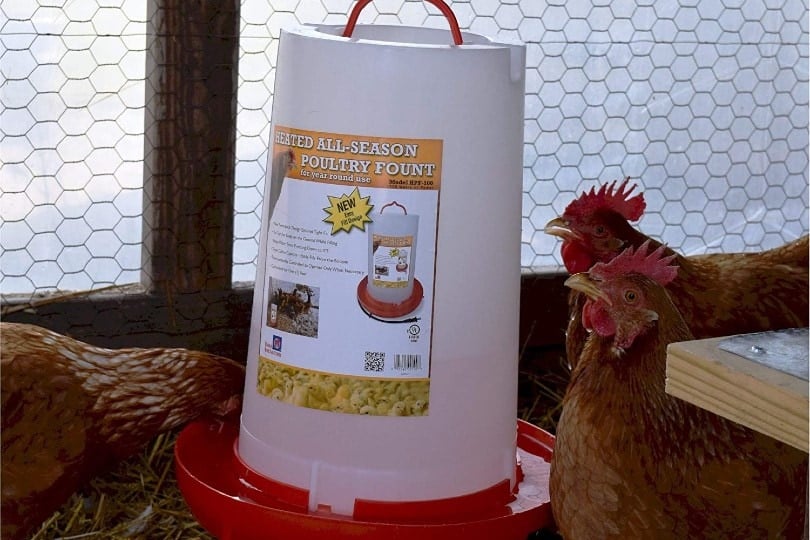 heated poultry fountain