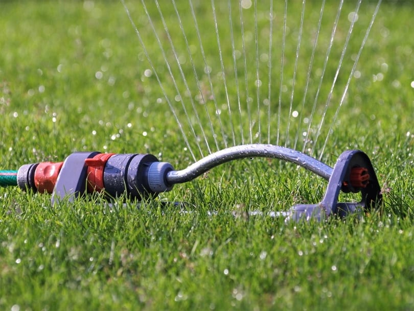 lawn-sprinkler spewing water