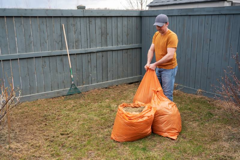 man wearing mustard colour t shirt and jeans puts grass in orange garbage bags during cloudy day in the garden