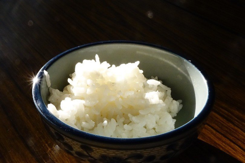 plain white cooked rice in a bowl